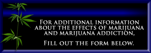 Effects Of Marijuana